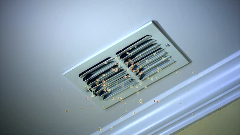 Best Best Air Duct Cleaning Company  in Prosperity, WV