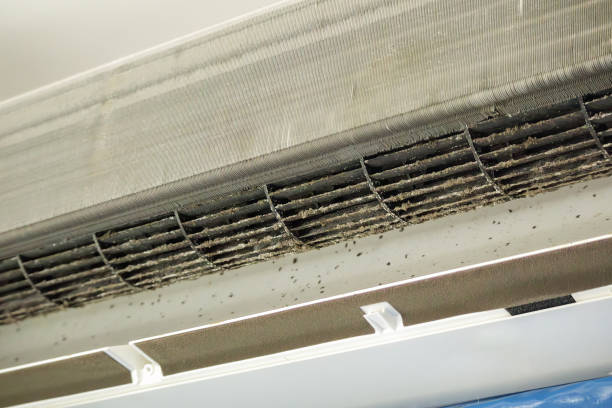 Best Air Duct Cleaning Near Me  in Prosperity, WV